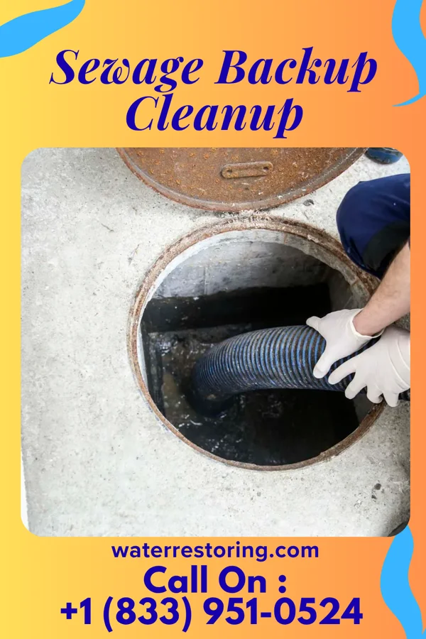 Sewage Backup Cleanup in Earling, IA